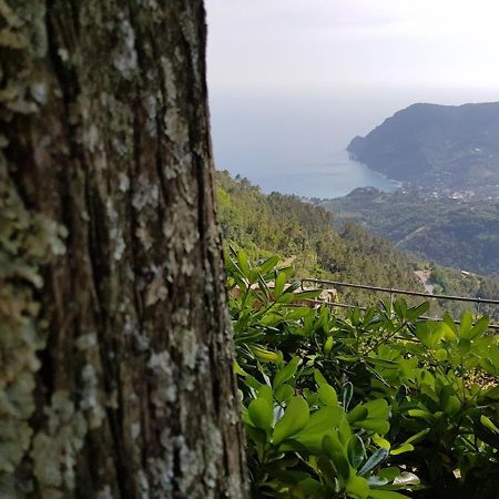 מונטרוסו אל מארה Santuario Ns Soviore Cinque Terre מראה חיצוני תמונה