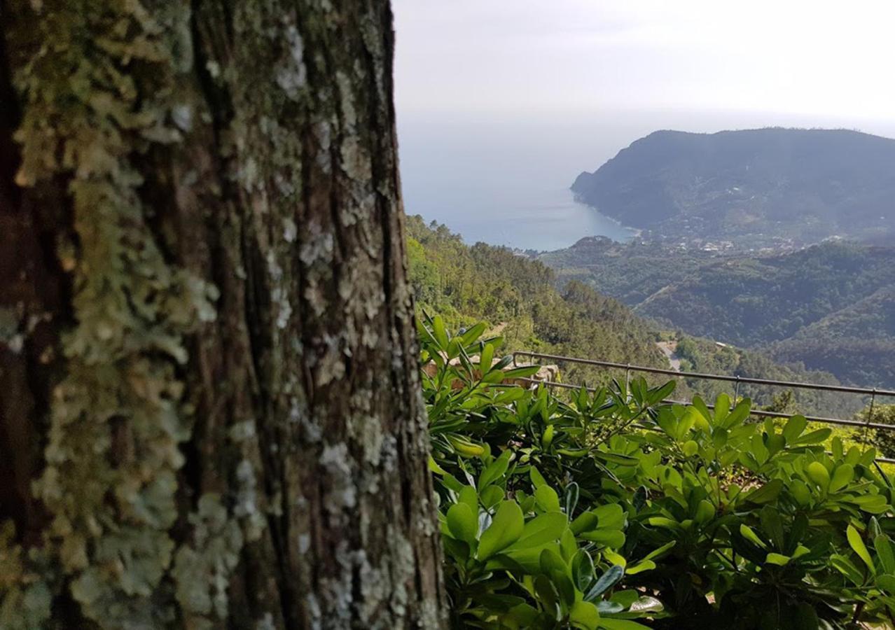 מונטרוסו אל מארה Santuario Ns Soviore Cinque Terre מראה חיצוני תמונה